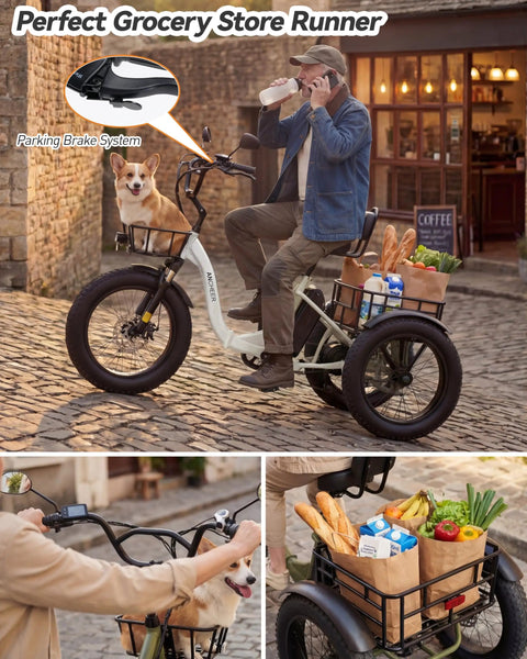 Electric Tricycle For Adults With 749W Motor And 48V Battery, fat tire 3-wheel trike with grocery baskets and dog on board