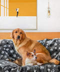 Waterproof Pet Blanket For Dogs And Cats With Pattern Print on sofa with Golden Retriever and small dog, 40x30 inch