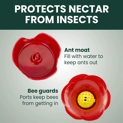 Glass Hummingbird Feeder With Four Flower Ports And Comfortable Perches, Ant Moat And Bee Guards, 8 Oz Nectar Capacity parts