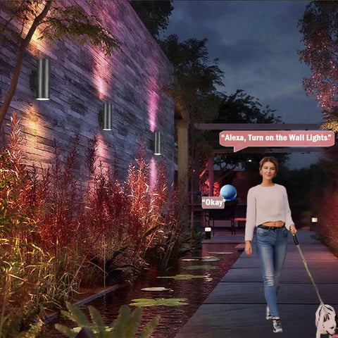 Exterior Double Up Down Outdoor Wall Lights With Remote Control illuminating pathway at night with person walking a dog