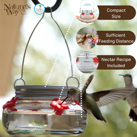 Mason Jar Hummingbird Feeder With Four Feeding Ports Clear Glass Bird Feeder For Easy Fill Up No Spill Clean Leak Free Design With Wide Mouth Jar Attracts Multiple Hummingbirds