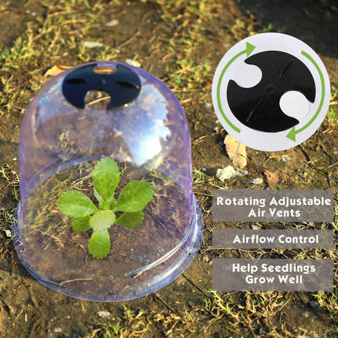 Six Pack Garden Cloche Domes 7.3 Inch Diameter ☀️