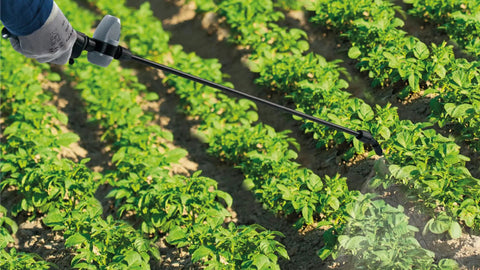 Manual Backpack Sprayer 12L With Fiberglass Lance, 3-Position Pressure Regulator in use on garden plants