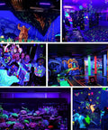 Triple Pack 100W LED Black Lights Flood Lamps with Plug creating vibrant glow-in-the-dark effects at parties and events.