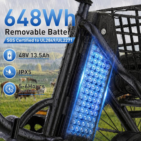 FatGo1 1000W Folding Electric Tricycle for Adults With Basket Fat Tire 3 Wheel Ebike 48V 648Wh Removable Battery on rainy ride