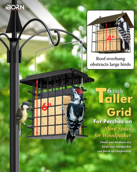 Double Suet Feeder For Outdoors Weatherproof All Metal Cage With Taller Grid Perch For Woodpeckers Easy To Clean And Refill Durable Black Bird Feeder For Outdoor Yards And Gardens, shown installed on a garden pole with two woodpeckers perched on it, highlighting its tall grid design.