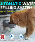 Golden retriever using No Brainer Automatic Dog Water Dispenser With Heavy Duty Anti Tip Bracket, 68 Oz Outdoor Pet Water Bowl.