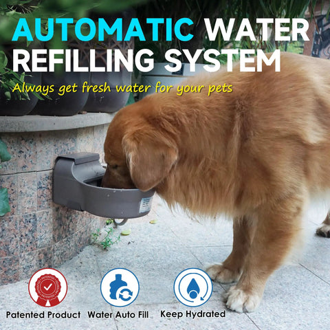 Golden retriever using No Brainer Automatic Dog Water Dispenser With Heavy Duty Anti Tip Bracket, 68 Oz Outdoor Pet Water Bowl.
