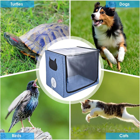 Pet Oxygen Chamber For Small Animals, Multi Function ICU Cage And Nebulizer shown with turtle, dog, bird, and cat