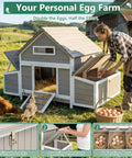 Spacious Wooden Chicken Coop For Four To Six Chickens With Six Nesting Boxes And Pull Out Tray Weatherproof Open Roof Three Perches