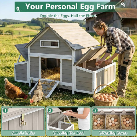 Spacious Wooden Chicken Coop With Six Nesting Boxes And Pull Out Tray For Four To Six Chickens shown in a rural setting