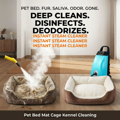 Heavy Duty Steam Rig Knocks Grease And Stuck On Dirt Right Off 2500W High Temp High Pressure Steam Washer cleaning pet bed.