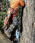 Tree Climbing Spikes With Pro Arborist Gear Kit Including 10m Nylon Rope, Safety Belt, Scissors And Saws in use on a tree