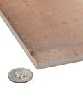 Close-up of Porcelain Floor And Wall Tile Eight And Three Quarters Inch Square Glazed With A Medium Textured Finish next to a coin