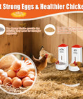 Heavy Duty 2 Pack Poultry Grit And Oyster Shell Feeder With Clear Viewing Window And Quick Drainage Holes crafted for flock keepers in a coop.