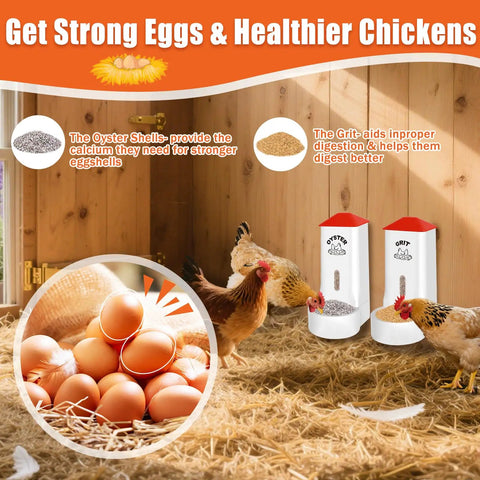 Heavy Duty 2 Pack Poultry Grit And Oyster Shell Feeder With Clear Viewing Window And Quick Drainage Holes crafted for flock keepers in a coop.