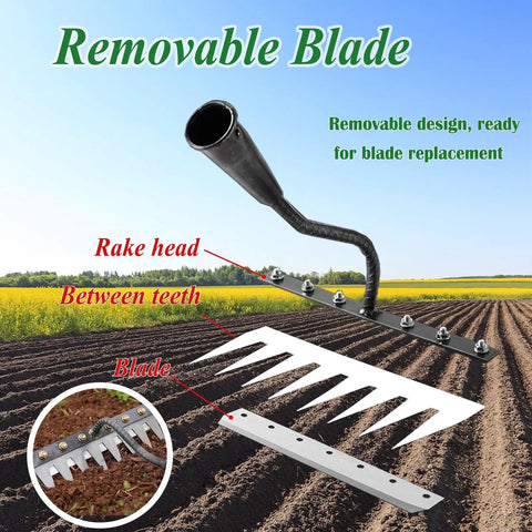 Upgrade Iron Weeding Rake 2.0 With Eight Teeth Manual Weeder for gardening detailing removable blade