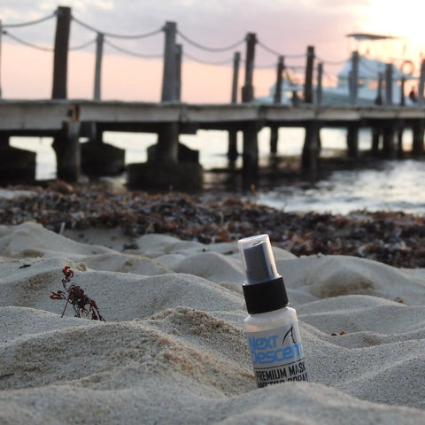 Anti Fog Spray For Swimming Goggles And Diving Masks Defog Solution For Pool Snorkeling Scuba And Freediving Eye Safe Reef Safe And Gentle