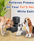 Hella Sturdy Raised Dog Feeder Stand And Elevated Cat Food Holder with dogs using it to eat, designed to relieve neck pressure.