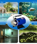 Go To Water Transfer Pump 115V One Tenth HP 330 GPH for pools, fish tanks, basements, and ponds with six-foot suction hose.