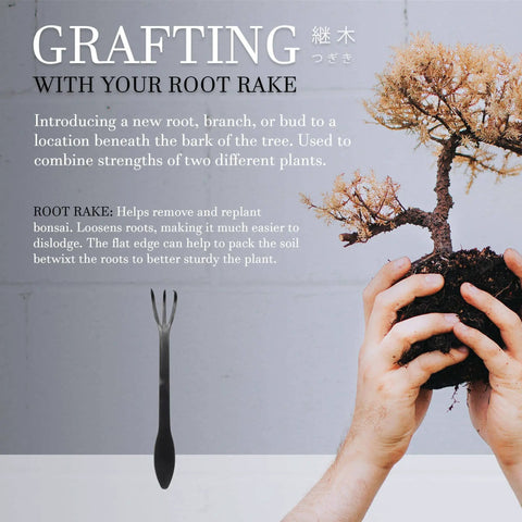 Three Piece Bonsai Root Rake Set With Three Prong Rake And Flat Edge Spatula, Hand Forged Carbon Steel Garden Tool For Root Loosening And Repotting, About Eight Point Seven Five Inches Long, Durable Bonsai Care Kit. Bonsai root rake for repotting and grafting