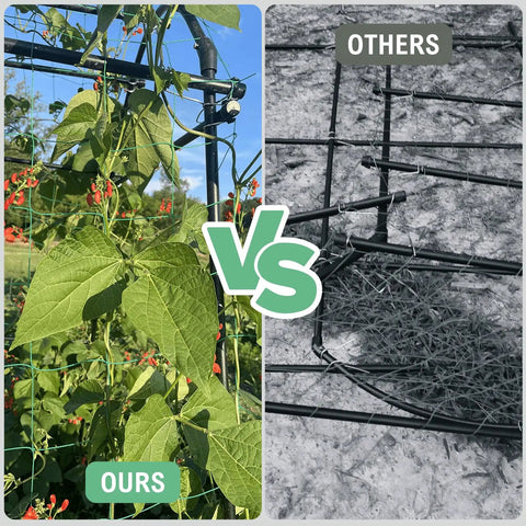 Comparison of Sturdy 7 Foot Extra Tall Garden Arch Trellis with climbing plants and an empty frame on a different trellis.