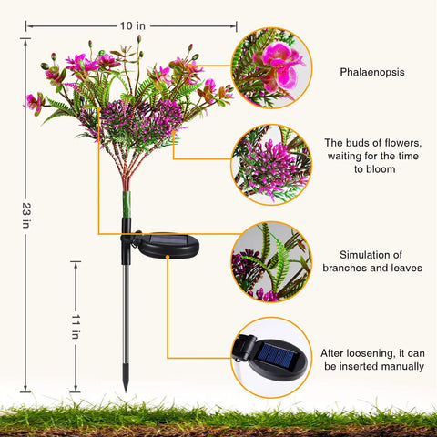 Purple Phalaenopsis Solar Flower Lights 4 Pack Outdoor Waterproof Garden Decor for Yard and Patio No Fuss Setup LED