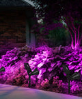 Purple Solar LED Spotlight 2 Pack Outdoor Waterproof Landscape Lights illuminating garden bushes at night