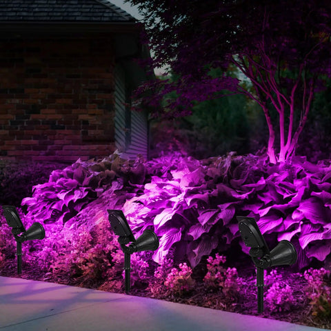 Purple Solar LED Spotlight 2 Pack Outdoor Waterproof Landscape Lights illuminating garden bushes at night