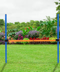 Dog Agility Travel Jump Set For Training And Fun Portable Detachable Hurdles in a garden setting with blue and orange bars.
