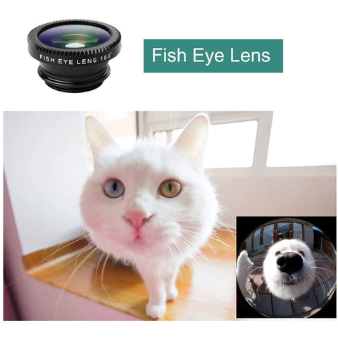 Cat image captured with 180 degree fish eye lens, part of the 3 In 1 Clip On Phone Lens Kit With 180 Degree Fish Eye, 0.65x Wide Angle And 10x Macro.