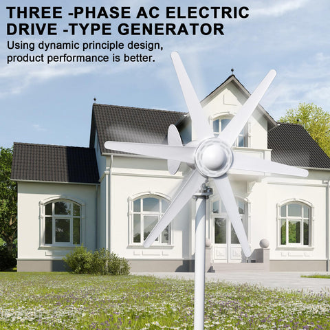 High Efficiency 800W Wind Turbine Kit With Six Blade Rotor for home use installed in front yard of house