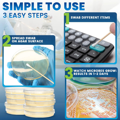 Steps for using Hands On Microbiology Science Kit For Students With Ten Pre Poured Agar Plates And Cotton Tipped Sticks Learn Microbiology
