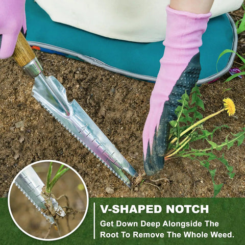 Close-up of 5 In 1 Garden Weed Trowel With Serrated Edges And Measuring Scale Stainless Steel Multi Tool removing dandelion