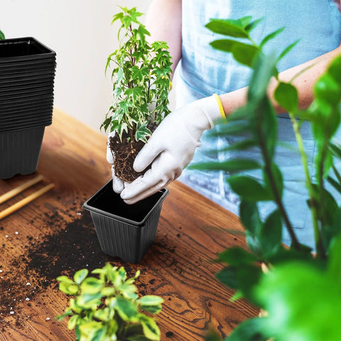 100 Pack Square Plant Nursery Pots With Drainage Holes Three And A Half Inch Plastic Seed Starter Pots in use