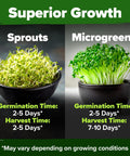 Bowls of broccoli sprout seeds and microgreens showing growth time, labeled as Broccoli Sprout Seeds 8 Oz Bulk Heirloom Non GMO
