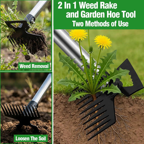 2 In 1 Weed Puller Tool With Garden Hoe And Weed Rake 60 Inch Adjustable Long Handle Stainless Steel Heavy Duty Manual Weeder