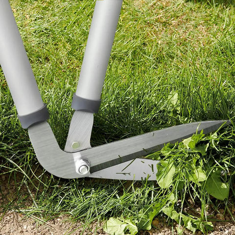 Heavy Duty Border Shears cutting grass, featuring Long Handle Edging Shears For Lawn And Garden, 80 cm reach, nonstick blades.