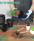 Person transplanting succulent into 120 Pack 4 Inch Plastic Nursery Pots With Drainage Holes For Seedlings And Succulents