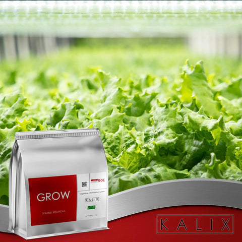 Grow Fertilizer For Hydroponics And Soil Water Soluble Veg Nutrients for tomatoes leafy greens herbs, silver packaging