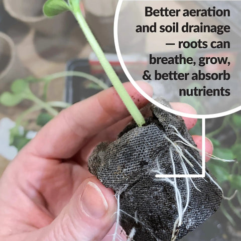 Close-up of Indoor Seed Starter Kit With 100 36mm Peat Pellets That Expand With Water showing plant aeration and root growth.