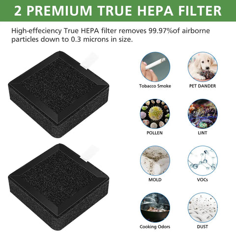Replacement A2 Filter For A2 Air Purifier With 3-Stage High-Efficiency Filtration Pre Filter Included 2 Pack Keeps Your Space Fresh By Trapping Dust Pollen Smoke Odors And Allergens