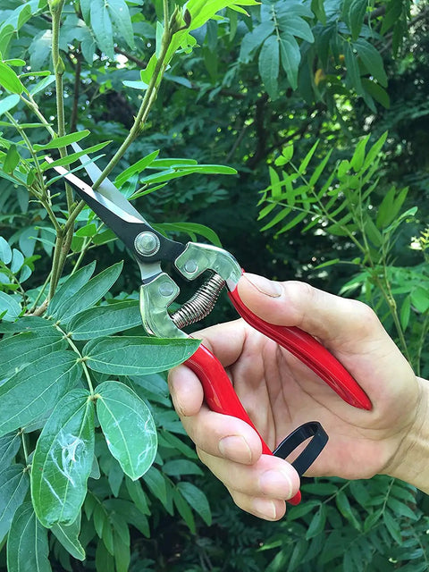 Hand using Micro-Tip Pruning Snip For Delicate Flower Arranging And Plant Trimming, lightweight pruner cutting plant branch