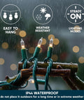 Lit Clear Christmas String Lights Indoor Outdoor 100 Count Mini White Fairy Lights Nineteen Point Four Feet Green Wire UL588 Certified IP44 Waterproof highlighting waterproof feature during rain
