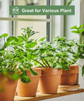 Four 6 inch terracotta clay pots with saucers holding plants on a windowsill, suitable for indoor and outdoor gardens.