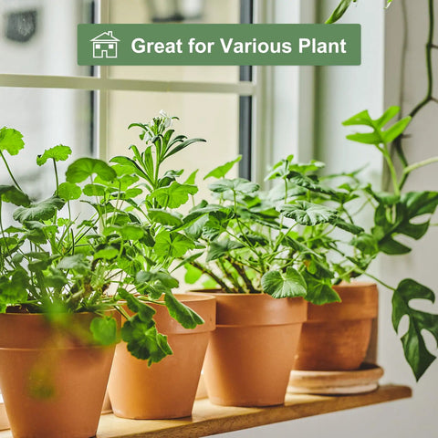 Four 6 inch terracotta clay pots with saucers holding plants on a windowsill, suitable for indoor and outdoor gardens.