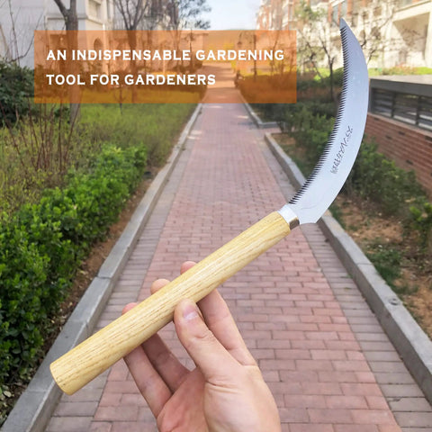 Hand holding a grass sickle with sawtooth blade, ergonomic wood handle, yellow end, in a garden path setting.