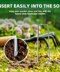 Heavy Duty 6 Inch Galvanized Landscape Staples For Barrier Fabric And Tent Anchors, 11 Gauge Garden Stakes close-up in soil