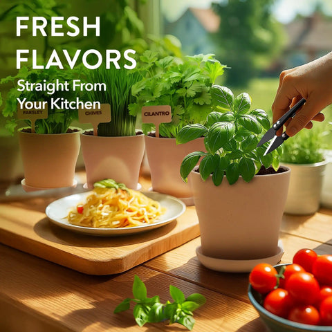 Indoor Herb Garden Starter Kit For Beginners Grow Four Heirloom Herbs On Your Kitchen Window With No Fuss Setup Easy DIY Gift