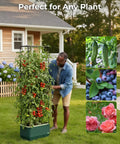 Raised Garden Bed Planter With Trellis For No Fuss Self Watering Tomatoes Climbing Plants And Veggies For Indoor Outdoor Patio Garden Great For Balcony And Yard Gardens And Aids Healthy Harvest featuring tomatoes and an adjustable trellis in a backyard setting
